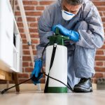 Commercial Pest Control: A Vital Investment for Businesses